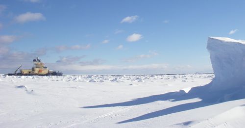 A Summer Day in Antarctica