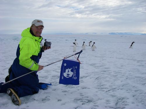 Adelie Penguins Come Running Across the Ice to Check Us Out