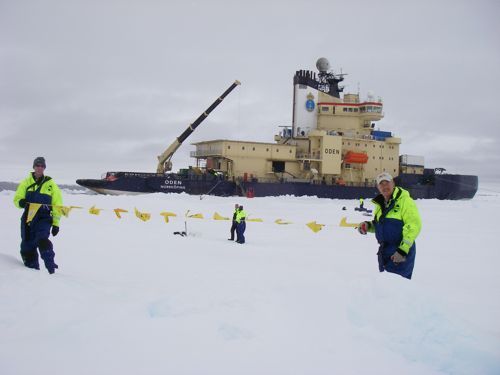 Flags in the Polar Wind!