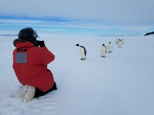 Penguins and I