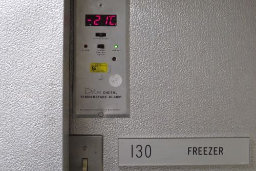 Cold room temp