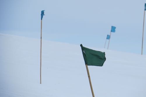 Flags