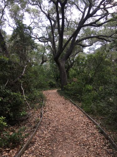 Trail hike at Aransas