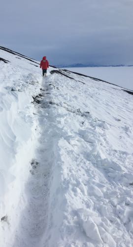 Trail at ob hill