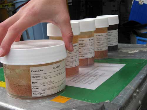 The final preserved sample.