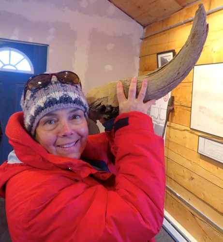 karen and bison horn