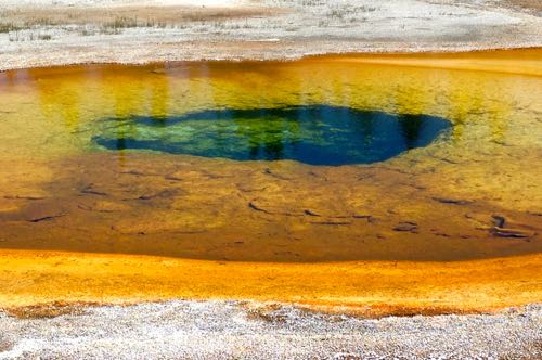 Yellow and Gold Geyser