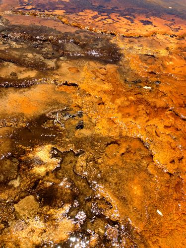 Rust Colored Geyser