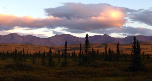 Sunset on Tundra down Stampede Road