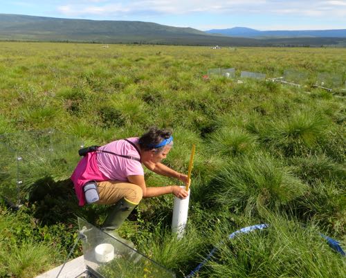 Measuring Depth to Water 