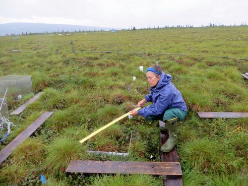 Measure Depth to Permafrost