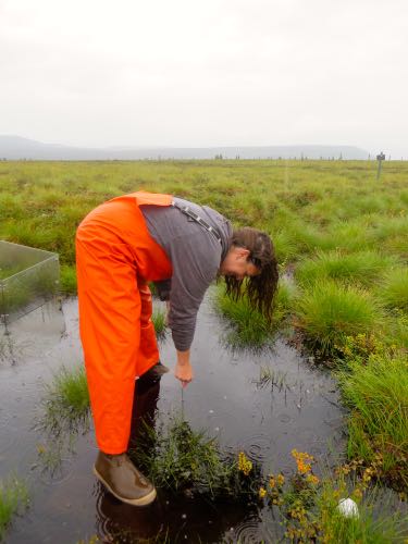 Depth to Permafrost in Puddle