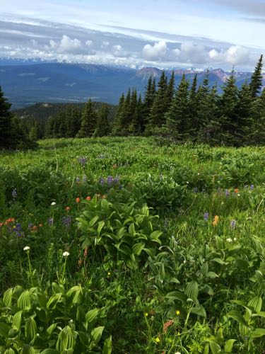 Alpine Meadow to Crater Lake