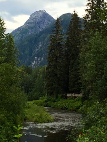 Fish Creek Where the Salmon Run