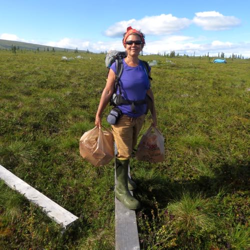 Karen Hauling Wood