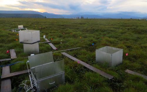 Dew Collecting on Chambers