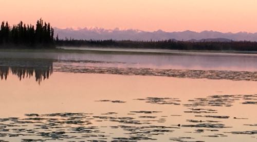 Wetland at sunrise