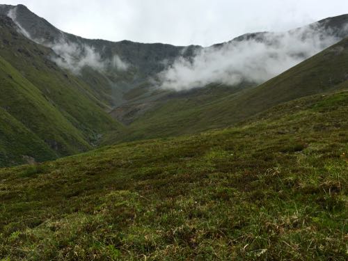 Tundra on Caribou Trail