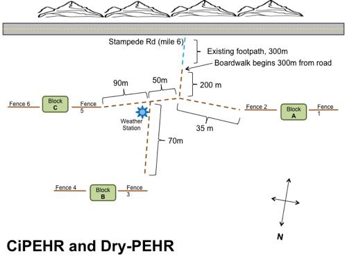 CiPEHR site map