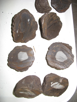 Ferromanganese Nodules