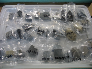 Rock Sample Bags