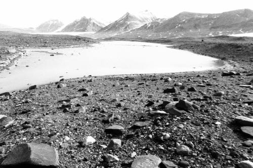 Many Glaciers Pond