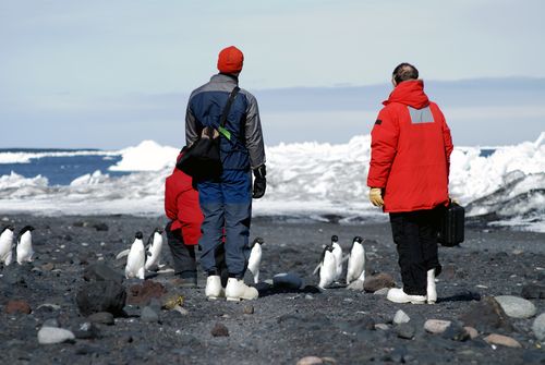 Penguins and meteorologist