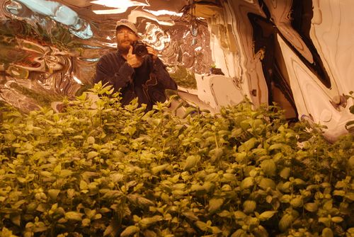 Self portrait in greenhouse