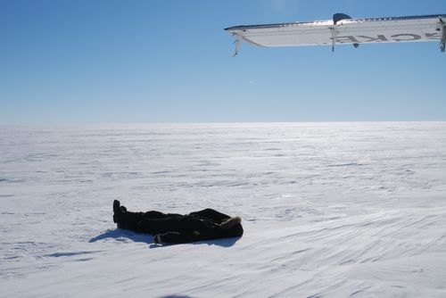 Louie sunbathing Antarctica style