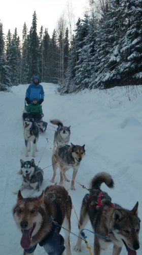 Mushing