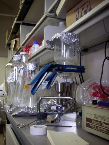 A Crowded Lab Bench