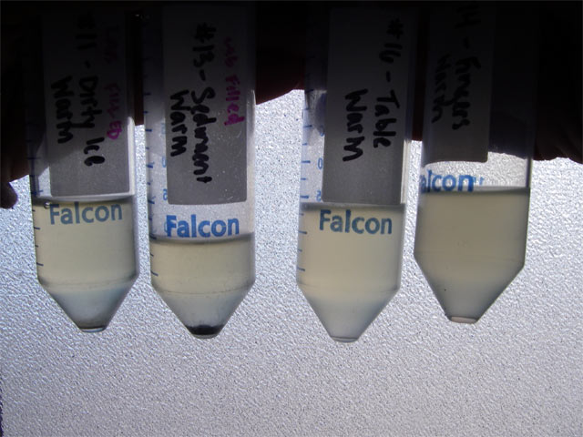 Which Tubes Grew Microorganisms On Day 3? 