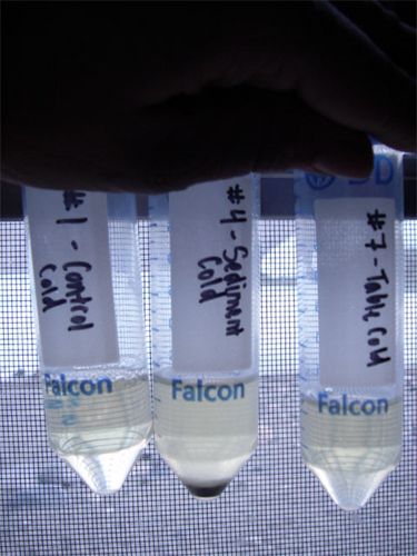 Which Tubes Grew Microorganisms on Day 7?