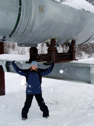 The Alyeska Pipeline