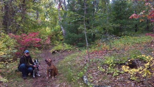 Dr. Mike Lowe&#39;s wife Claire and their two pups enjoying a day near Eagle Pond in Osterville on Cape Cod!  Photo courtesy of Dr. Mike Lowe.