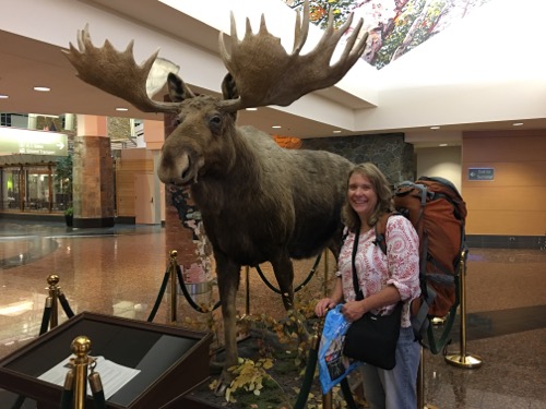 Lisa Seff and moose at Anchorage Airport.