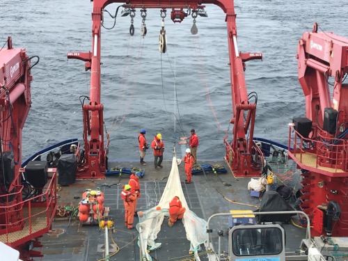 The mid-water trawl net on the aft deck of the R/V Sikuliaq with Dr. Mike Lowe and other members of Team Fish!  August/September 2017.  Photo by Lisa Seff.