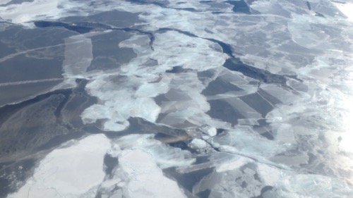 Sea Ice 1