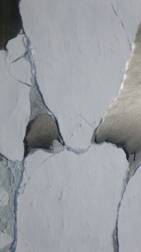 Sea Ice with Reflection