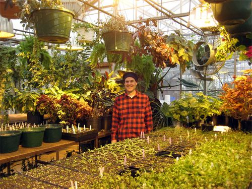 Wing in greenhouse