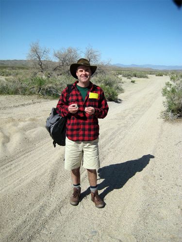 Wing in the Mojave National Preserve