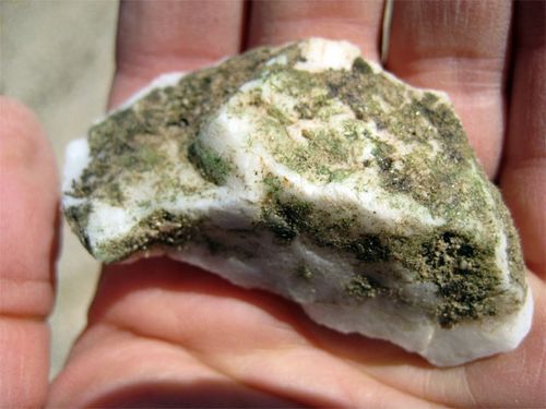 Underside of the same quartz rock shows hypolithic cyanobacteria