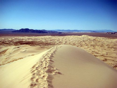 Dune with a view