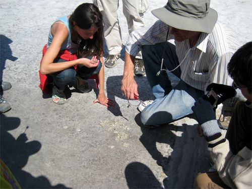 Our team at Badwater