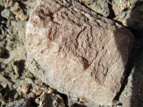 A rock on Little Red Hill