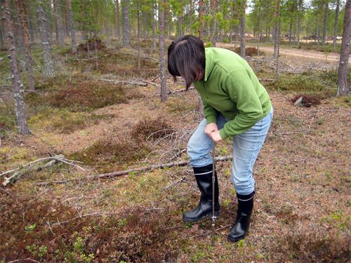 Dr. Eva Hulse takes a soil core