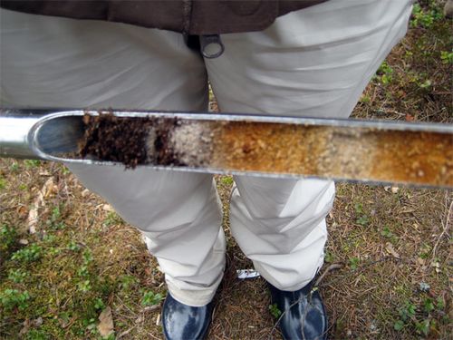 Some very complicated soil stratigraphy (layers) shown in a soil core at the Thing.