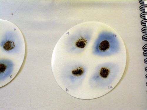 Some soil phosphorus test results