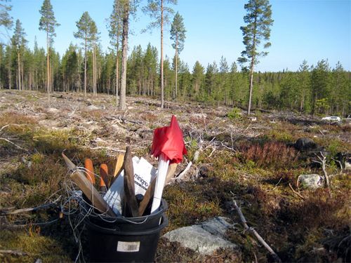 Bucket of archaeological equipment