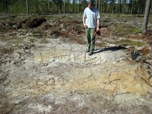 Prof. Andre Costopoulos examining the &quot;L&quot;-shaped rock garden.